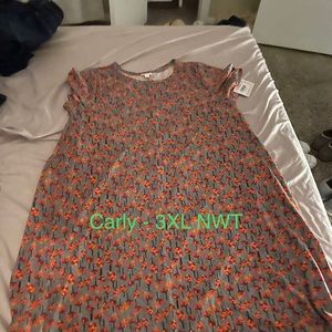 LulaRoe Carly